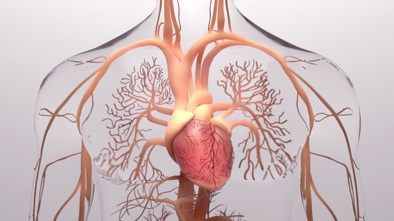 Heart failure is no longer defined by a single number